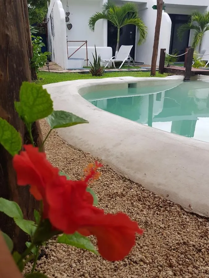 Bed & Breakfast Teki-Sha Home&Suites Bacalar